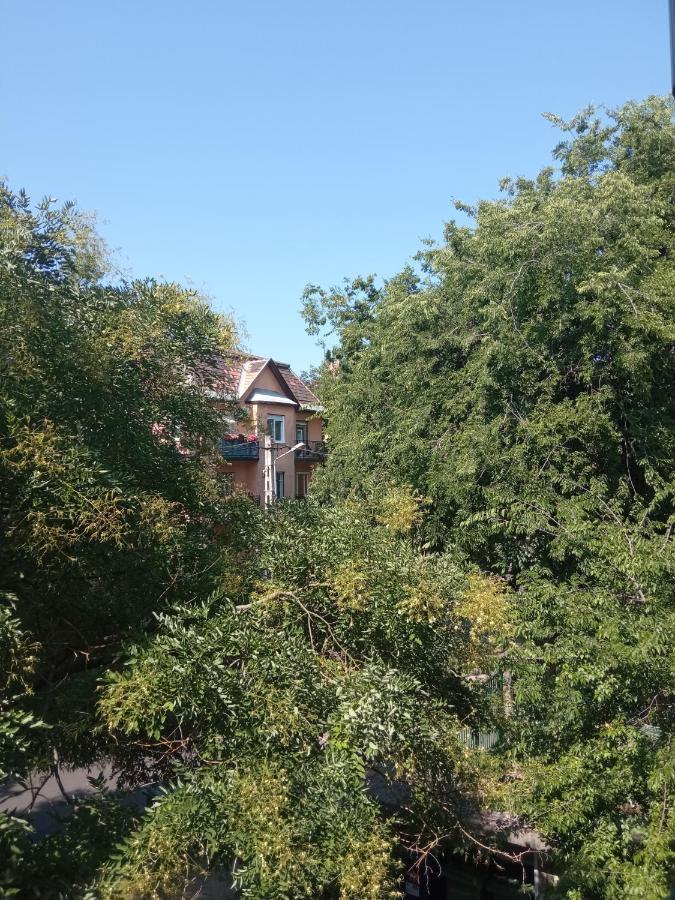 Free Parking, Balcony, Near To City Park Budapest Eksteriør billede