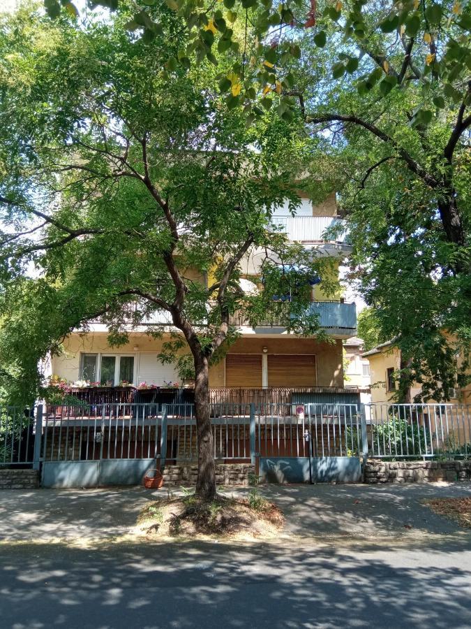Free Parking, Balcony, Near To City Park Budapest Eksteriør billede